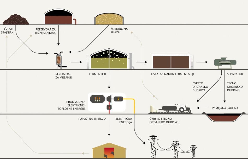 Slika 10.4 Šema toka sirovina i proizvoda biogasnog postrojenja 10.5 Primjer proračuna postrojenja za proizvodnju biogasa Farmu brojlera proizvodi godišnje 225.000 kg žive vage brojlera.