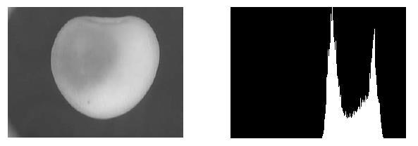 2.1.1. Analiza histograma Histogram je grafički prikaz raspodjele tonova. Ako govorimo o sivoj skali fotografije( engl.