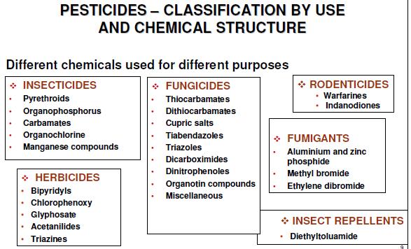 History of pesticide application with respect to individual groups USE OF PESTICIDES First use of synthetic