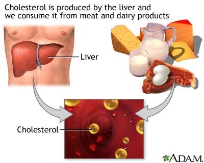 Ukupni Holesterol ( 3,6 6,2 mmol/l) VLDL :0,13-0,90 mmol/l HDL :1,06-1,94 mmol/l LDL :2,0-4,3 mmol/l Kada se radi test?