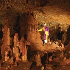 family family enjoyfamily Histria Aromatica na brdu Pižanovac kod sela Golaš kraj Bala, prostrani je arboretum i svojevrsni tematski park o autohtonom, ljekovitom, aromatičnom i začinskom