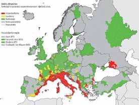 Nakon dugog razdoblja bez bolesti u Europi, prvi slučajevi autohtone denga groznice otkriveni su u ljeto 2010. godine, u Francuskoj, a epidemija na portugalskom otočju Madeira 2012.god. suočava Europu s prvim potencijalnim ozbiljnijim širenjem virusa nakon 1920.