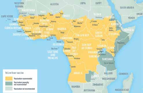 Zemlje u Africi s rizikom od obolijevanja od žute groznice Žuta