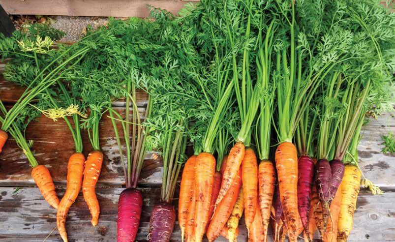 ulogu domaće organske poljoprivrede na globalnom tržištu. Organska hrana postala je deo globalnog trenda u načinu života, zdravlju i održivosti. U 2017.