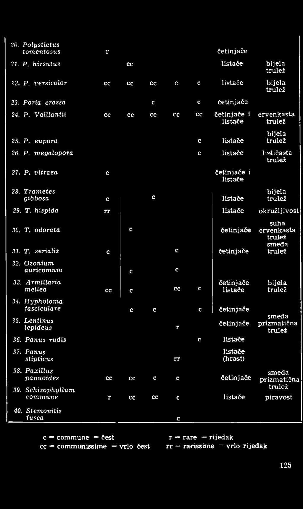 T. serialis c c četinjače 32. Ozonium oti ricomum c c 33. Armillaria četinjače bijela mellea cc c cc c listače 34. Hypholoma jasciculare 35. Lentinus lepideus c c c četinjače r četinj ače 36.