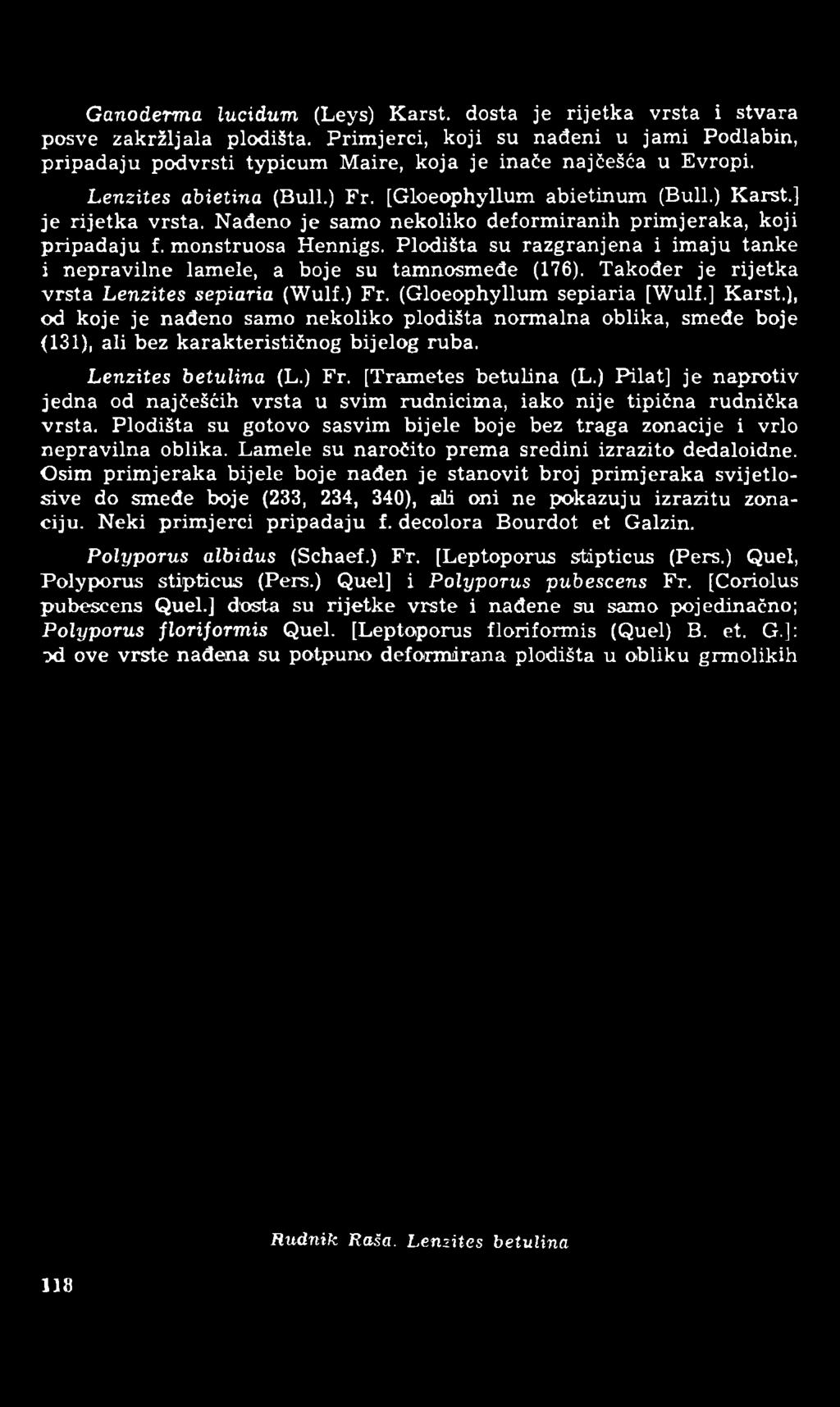 Ganoderma lucidum (Leys) Karst, dosta je rijetka vrsta i stvara posve zakržljala plodišta. Primjerci, koji su nađeni u jami Podlabin, pripadaju podvrsti typicum Maire, koja je inače najčešća u Evropi.