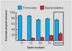 Slika 4. Relativna zastupljenost koljena Bacteroidetes i Firmicutes u pretilih ljudi tijekom jedne godine. Kontrola su uzorci stolice mršavih ljudi (preuzeto i prilagođeno na temelju Ley i sur. 2006).