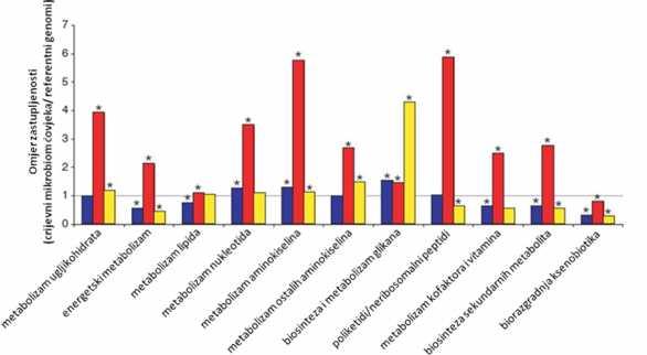 Slika 1. KEGG analiza pokazuje metaboličke funkcije koje su više ili manje zastupljene u mikrobiomu ljudskog debelog crijeva u odnosu na referentne genome.