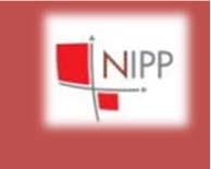 Organizacijska struktura RS za tehničke standarde NIPP-a,