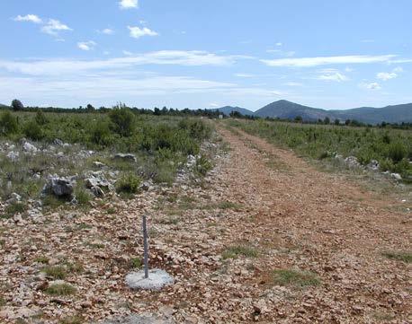 Ploha ima površinu 15,26 ha (436 m 350 m), potpuno je ograđena (Slika 22) i razdijeljena u blokove predviđene za sadnju i blokove predviđene za sjetvu.