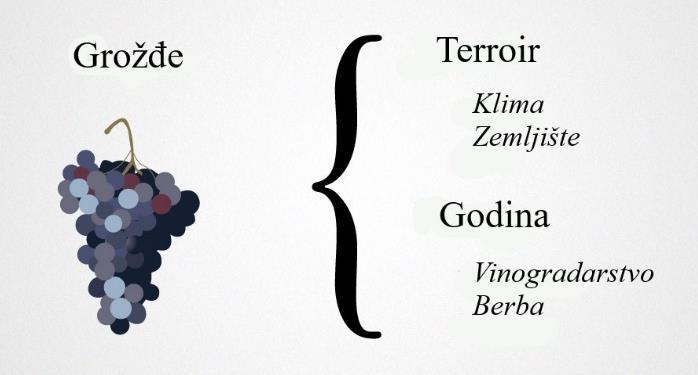 " -Robert Mondavi Kada pogledate sve procese koji su uključeni u uzgoj velikog grožđa (visokokvalitetna sirovina), u osnovi postoje dva područja razmatranja: TERROIR.