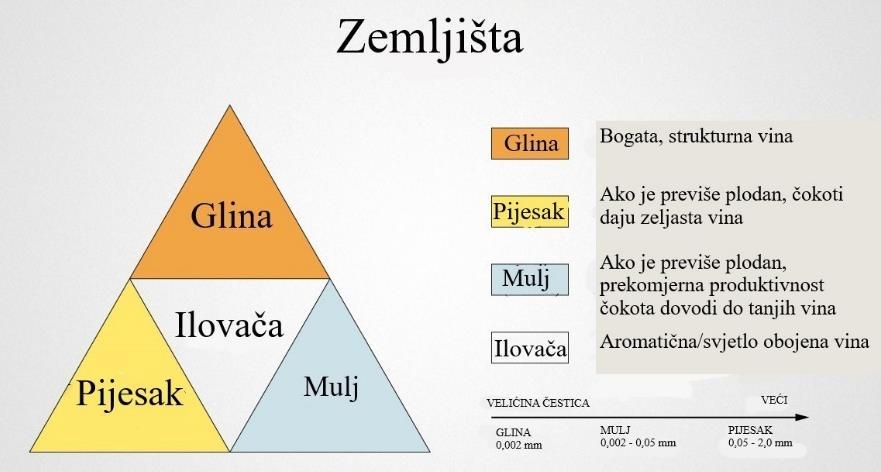 Da li je vinograd blizu velike vodene površine (jezero, more, rijeka)? 4.U kom pravcu je orjentacija redova u vinogradu? Mikroklima Konačno, mikroklima ide sve do pojedinog čokota.