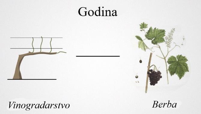 Glina. Poznata po proizvodnji bogatih, strukturiranih vina Mulj (Nanos).