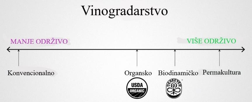 Grožđe sa manje zrelim sjemenkama i zelenijom pokožicom dovodi do veće trpkosti i gorčine u vinu.