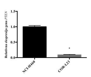 Osim NCI-H460 ćelija sa farmakološki inhibiranom funkcijom p53 i/ili PTEN tumor supresora, u eksperimentima je kao model istovremene inaktivacije oba tumor supresora korišćena i COR-L23 ćelijska