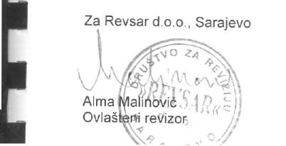 Revsar d.o.o., Sarajevo Izvještaj nezavisnog revizora Dioničarima Intesa Sanpaolo Banke d.d. Bosna i Hercegovina: Obavili smo reviziju priloženih finansijskih izvještaja Intesa Sanpaolo Banke d.d. Bosna i Hercegovina (u daljnjem tekstu: Banka ), koji se sastoje od bilansa stanja na dan 31.