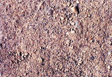 Гроздана Гајић Слика 2. Интергрануларна порозност, прашинасто песковитог земљишта Figure 2.