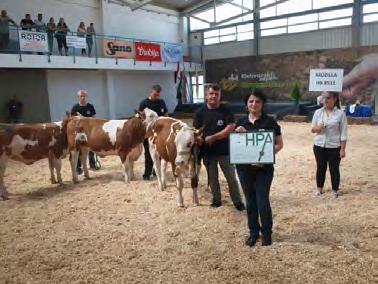 Ministarstvo poljoprivrede Prikazana je kolekcija kćeri po biku Mozilli, najcjenjenijem genomskom biku iz hrvatskog uzgojnog programa.
