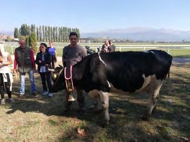 Starčevića iz Kalinovače. Prvonagrađeni bik bio je MENS LB3 u vlasništvu Bariše Dejanovića iz Podudbine. Dana 13.10.2018.
