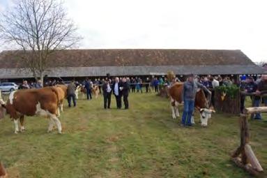 Za šampionsko grlo izložbe proglašena je krava holstein pasmine LEA HR 0200278348, vlasnika Ivana Putnika iz Brnaza.