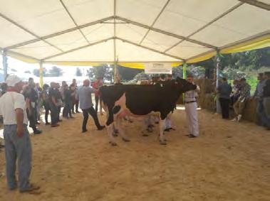Organizatori međunarodne radionice bili su Poljska federacija uzgajivača goveda i Europsko udruženje uzgajivača holstein goveda (EHRC).