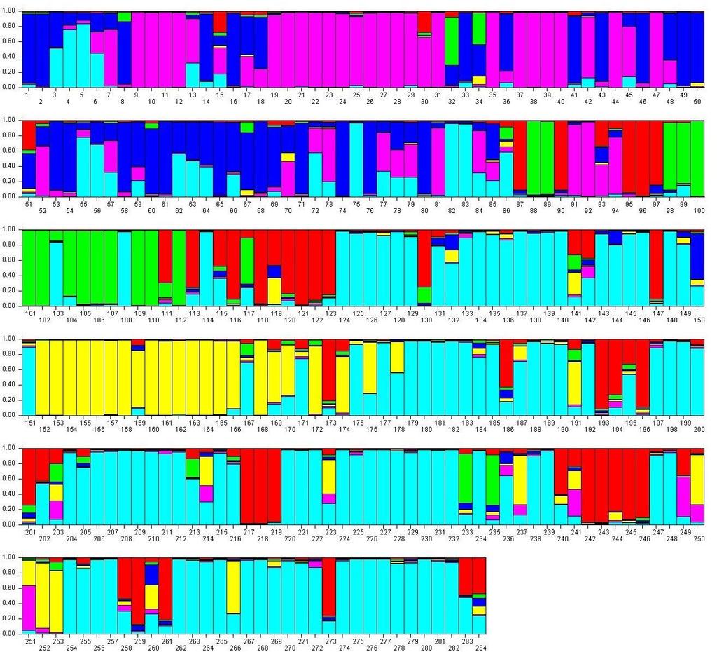 Slika 5. Grupisanje genotipova u šest subpopulacija dobijenih u programu Structure korišćenjem Bajesovog algoritma na osnovu vrednosti verovatnoće.
