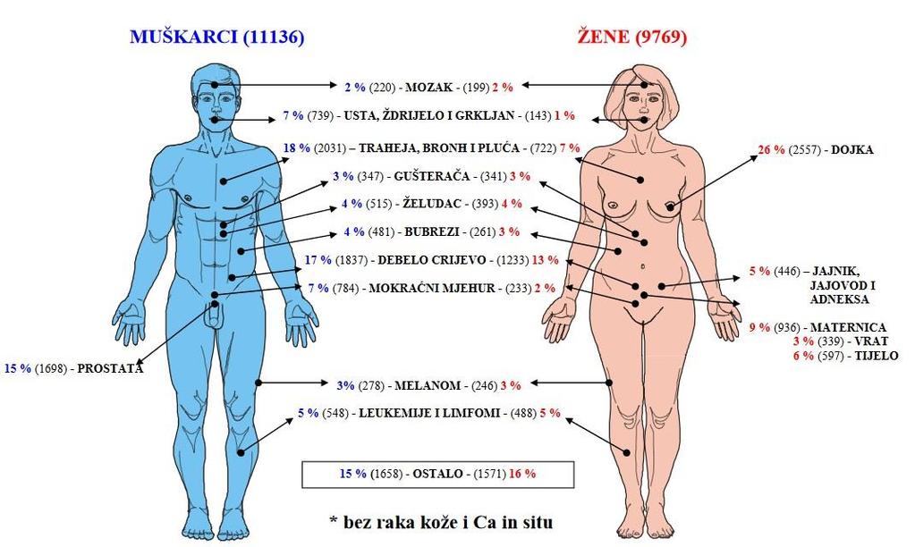 godini u Republici Hrvatskoj (prilagođeno prema T. Ćorić et al., 2017) [4] Slika 3.