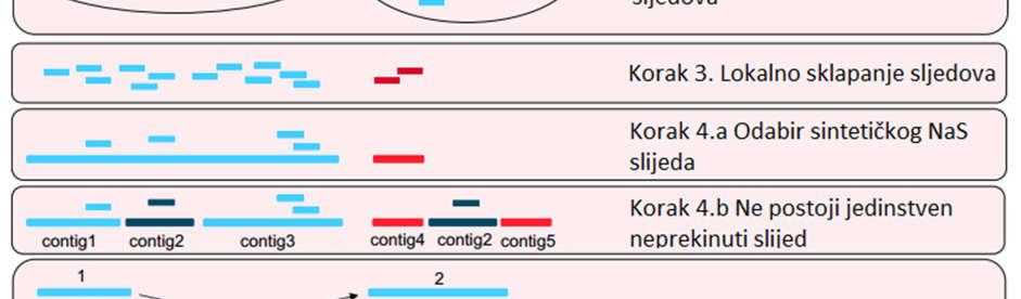 Slika 9 Shematski prikaz metode ispravljanja sljedova iz nanopora NaS. U prvom koraku se regrutiraju sljedovi-klice, čime nastaje početni skup sljedova mapiranih na slijed iz nanopora.