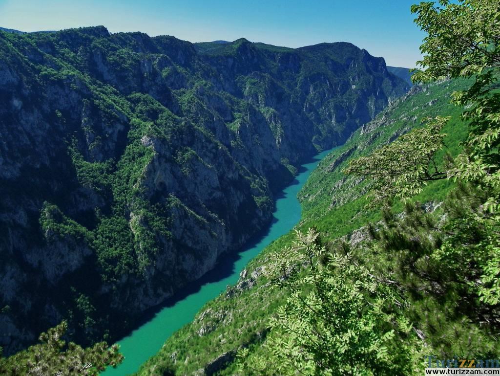 Притоке Пиве и Таре такође су усекле изразите кањонске долине: Сушица- Скакала је издубила до 800 m дубоку и 15 km дугачку кањонску долину, а Комарница (десна притока Пиве) је усекла 44 km дугачку и