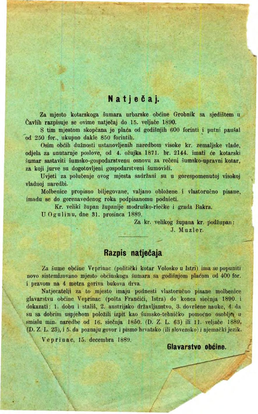 Natječaj. Za mjest ktarskga šumara urbarske bčine Grbnik sa sjedištem u Čavlih razpisuje se vime natječaj d 15. veljače 1890.