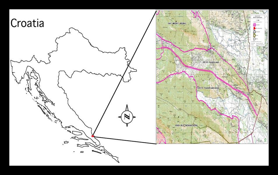 3. MATERIJAL I METODE 3.1. Područje istraživanja Istraživanje je provedeno u zajedničkom otvorenom lovištu br: XVII/135 - VRGORAČKO JEZERO. Lovoovlaštenik je Lovačka udruga Split iz Splita.