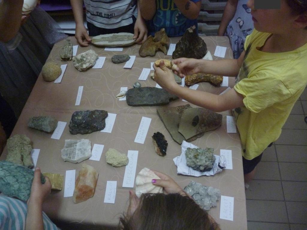 Slika 18. Djeca drže uzorke i ispituju o (s lijeva na desno): uzorku vulkanskog pepela, uzorku današnje školjke, fosilu očnjaka špiljskog medvjeda i fosilu ribe.