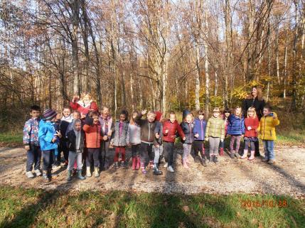 skupine posjetili su šumu Krušak I ove pedagoške godine imali smo prekrasnu