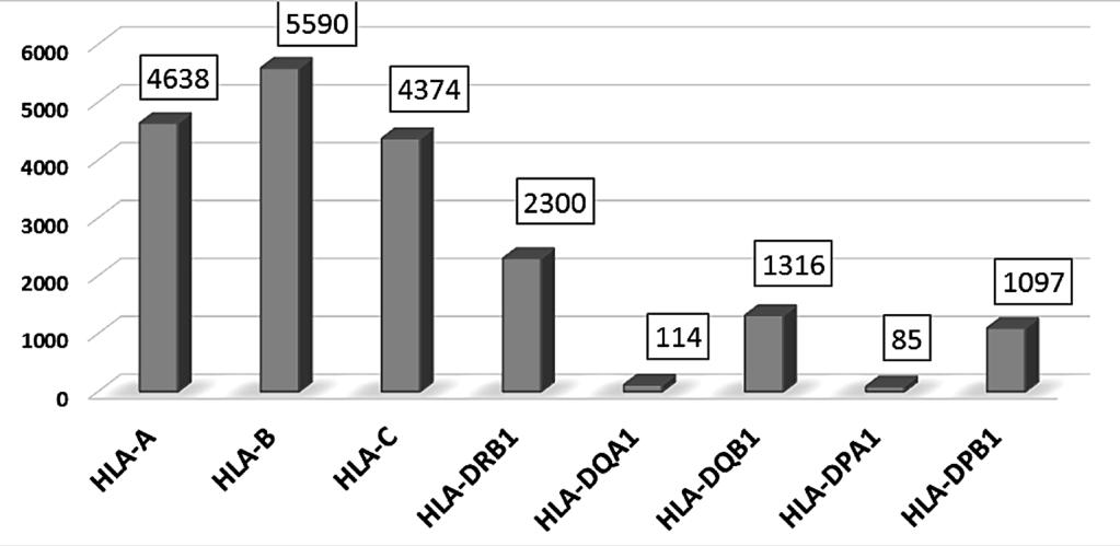 Slika 1. Broj do sada otkrivenih alela na klasičnim lokusima HLA (baza IMGT/HLA, verzija 3.34; listopad, 2018.
