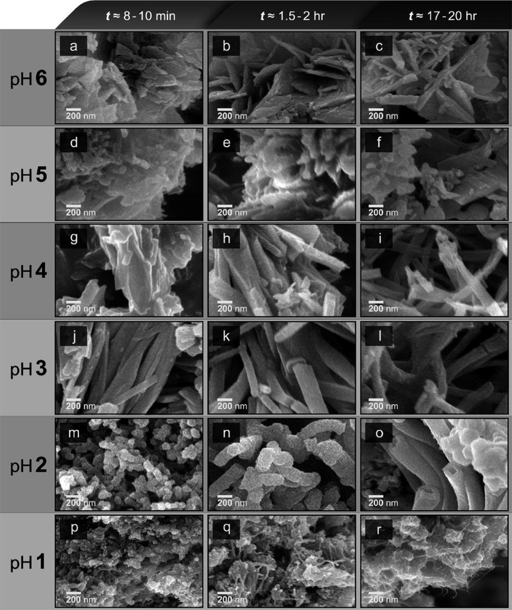Slika 18. SEM mikrografi u eksperimentima šest različitih ph vrednosti koje su održavane konstantnim, u zavisnosti od vremena reakcije. Sve slike su prikazane sa istim uveličanjem.