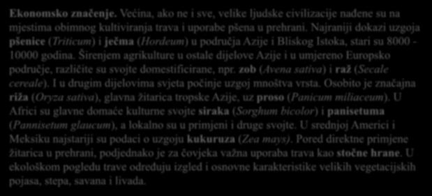 Sjemenke su gotovo uvijek s endospermom bogate škrobom, embrio se razvija u skutelum (organ za apsorbiranje hranjivih tvari iz endosperma tjekom klijanja). U nekih je žitarica (npr.