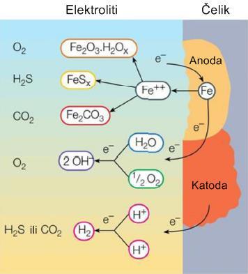 Fe 2+ ioni reagiraju s kisikom, sumporovodikom ili ugljikovim dioksidom te formiraju produkte korozije (slika 4-2.).