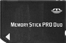 Duo Memory Stick