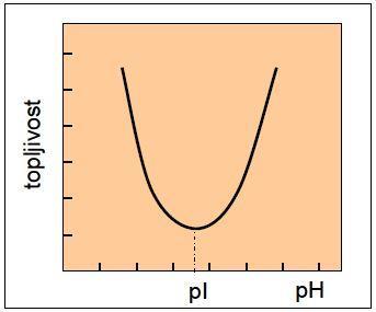 2.3.1. Ovisnost topljivosti o ph Proteini u vodenim otopinama sadrže određen broj pozitivnih i/ili negativnih naboja što ovisi o ph otopine.