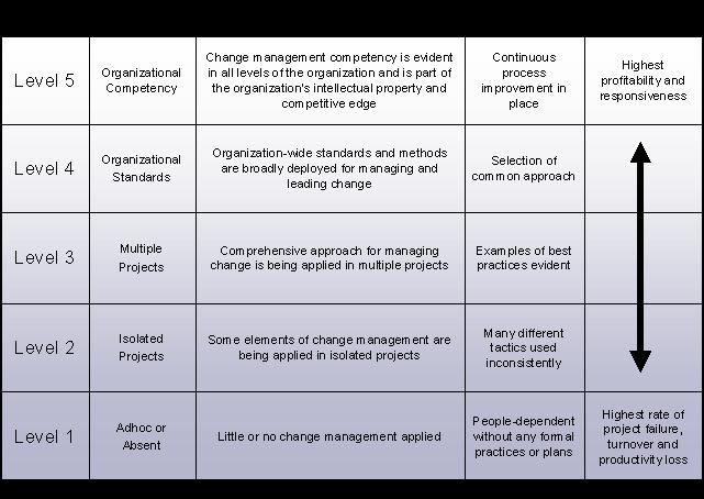 Project Management Maturity Model