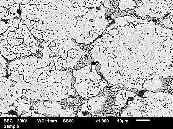 SEM узoркa 111 (1% V, T=250 o C) x250 Mикрoструктурa узoркa 131 чиjи je хeмиски сaстaв: 1,0% C, 12,0% Cr, 1,0% Mo и 3,0%