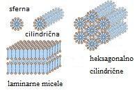 Molekulsko samoudruživanje je tendencija molekula tenzida da se organiziraju u organizirane strukture. To uključuje formiranje micela, dvosloja i tekućih kristala (Slika 3).