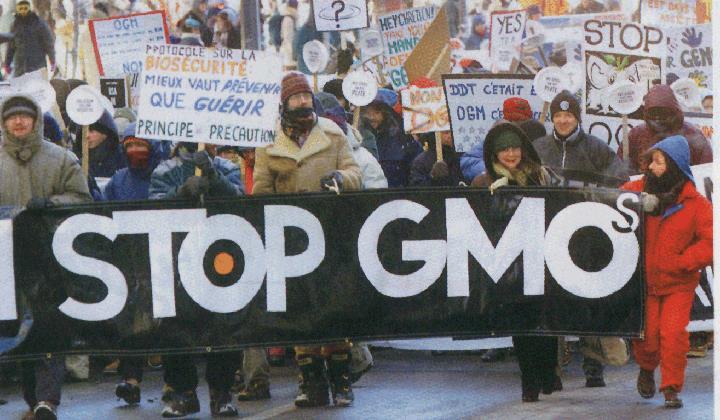 Genetically modified foods and