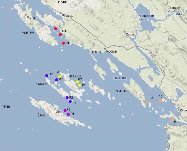 P10: Migavica: Otok Kaprije (W) uvala Vanjska (šibensko područje); dubina 5 30 m; mreža duga 200 m + 2 uze od po 100 m sa svake strane; 27.11.2007.