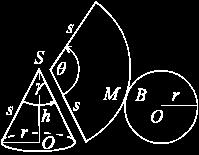 Према ознакама на сљедећој слици, површина омотача купе је M = rs, површина основе је B = r, збир ових је површина купе P = r(r + s).