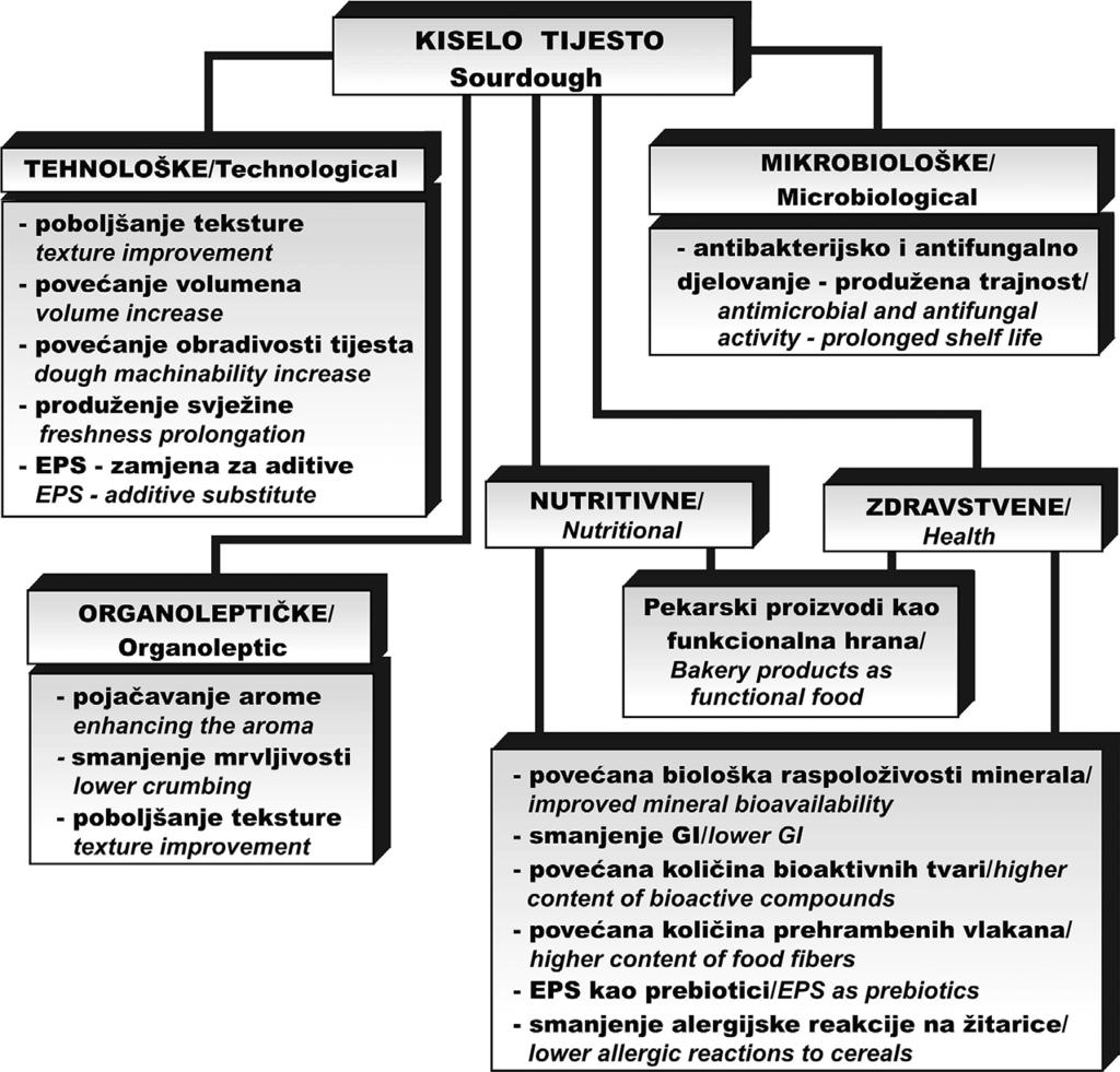 92 da se topivost i bubrenje glutena povećava u kiselom mediju zbog prisutnosti velike količine pozitivnog naboja (Maher Galal, 1978; Thiele i sur., 2004).