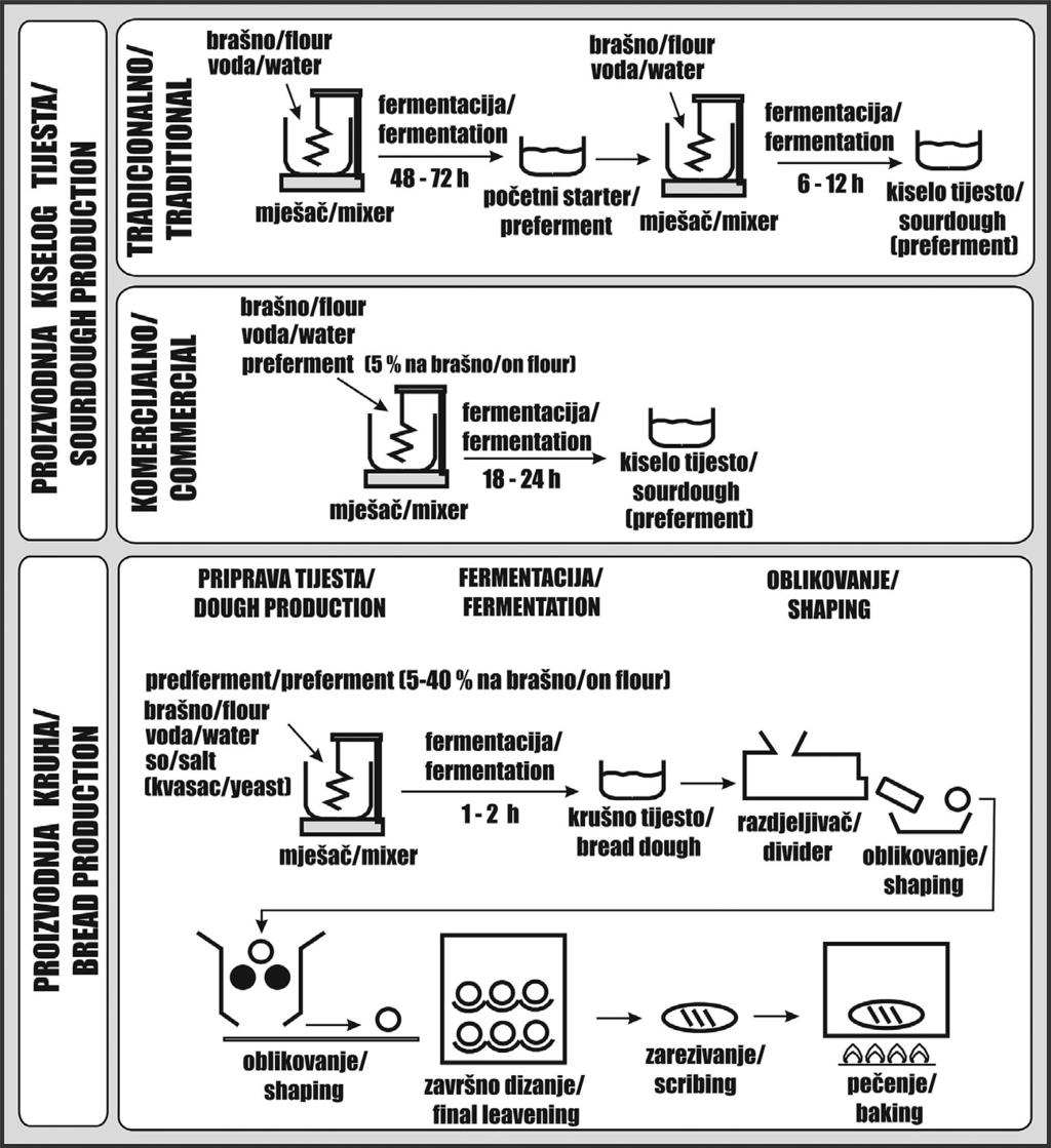 disk 3-bez kapronske, disk 4-bez mravlje, disk 5-bez butirične, disk 6- bez propionske kiseline, Corsetti i sur., 1998). Figure 4.