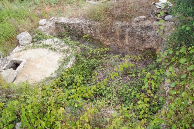 Od 28 nalazišta ovog tipa 20 je zaraslo u divlju vegetaciju, od čega na 7 lokacija vegetacija već prerasta ili jest šuma.