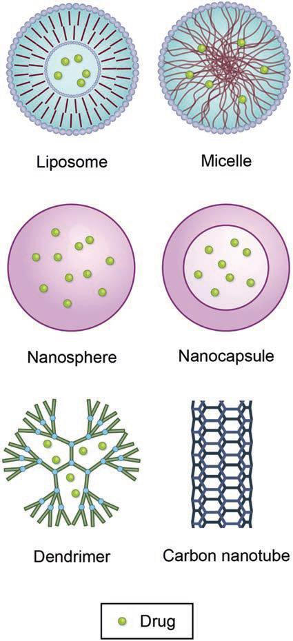 nuspojave, procesom funkcionalizacije.[7] Međutim, nekoliko studija je dokazalo da su nanomaterijali bazirani na ugljiku ipak podložni biorazgradnji.