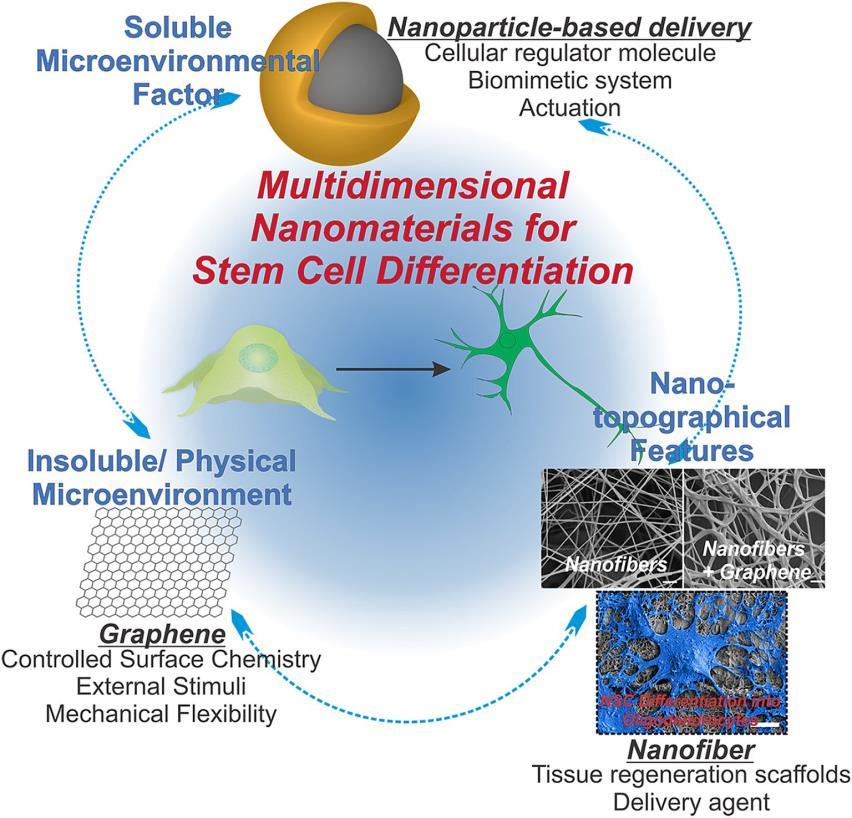 Slika 7: Ilustrativni dijagram koji predstavlja multidimenzionalne nanomaterijale: topive mikrookolišne faktore, netopivi fizički mikrookoliš i nano-topografska svojstva. Preuzeto iz: [1] S.-T. D.